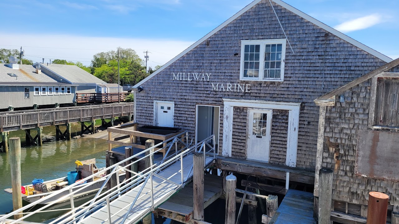 Hyannis Whale Watcher Cruises