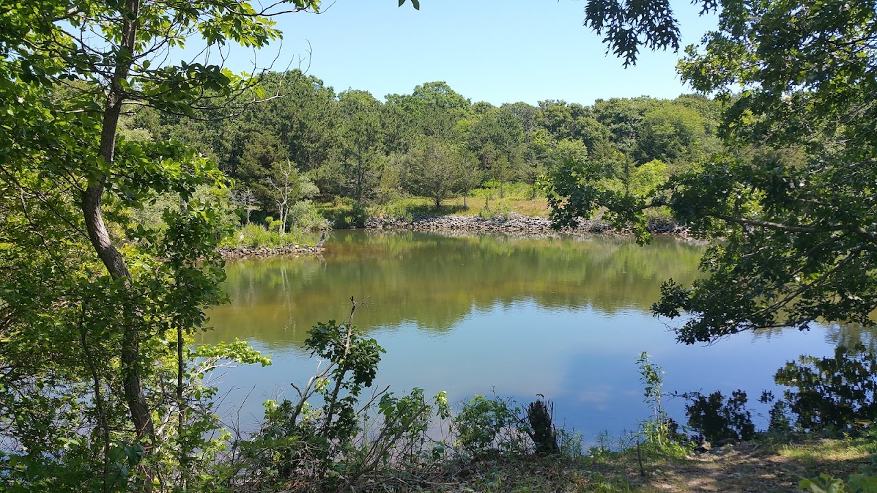 Mass Audubon's Felix Neck Wildlife Sanctuary