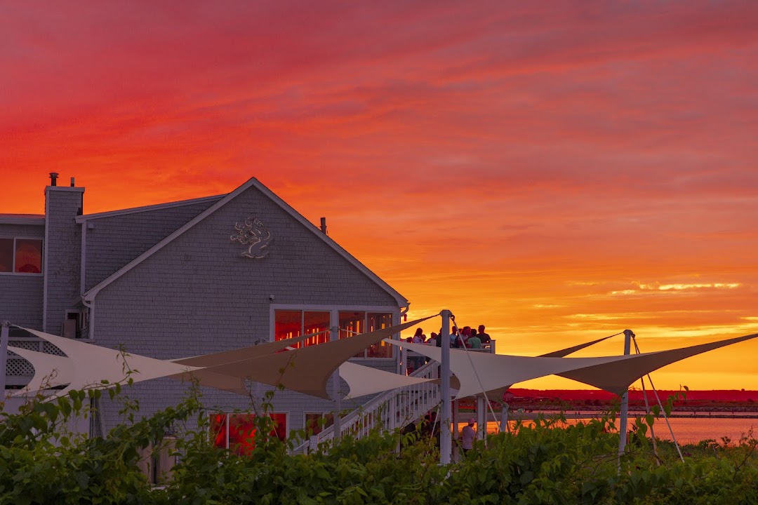 Tree House Brewing - Cape Cod