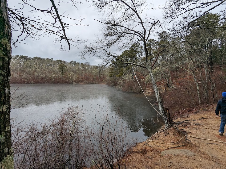 Beebe Woods
