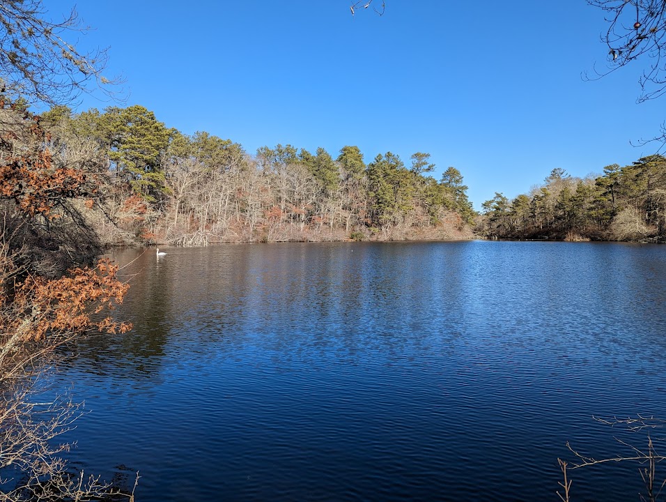 Four Ponds Conservation Area