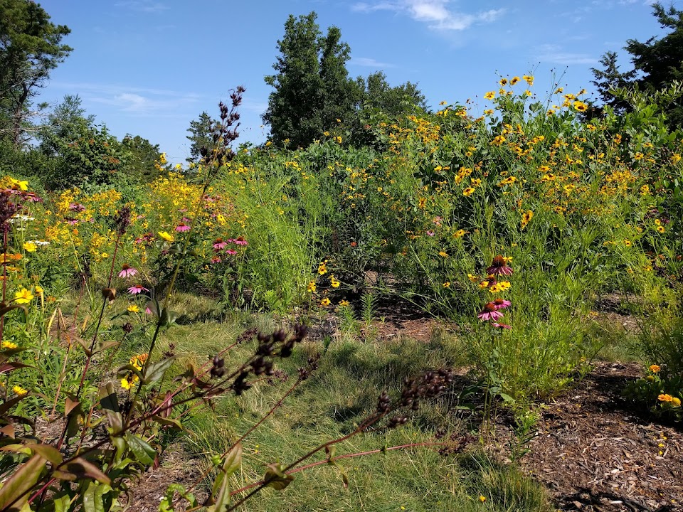 Thompson's Field Conservation Area