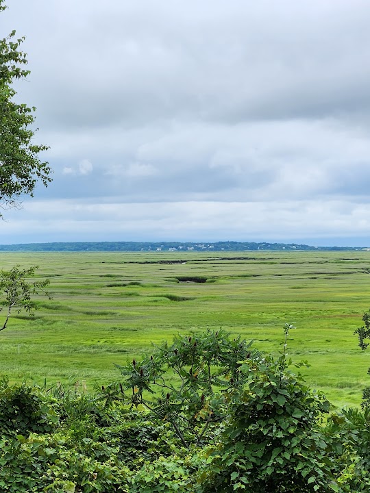 Mass Audubon's Barnstable Great Marsh Wildlife Sanctuary