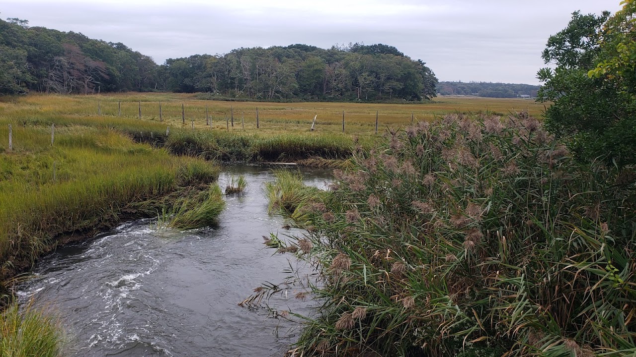 Old Sandwich Game Farm Wildlife Management Area