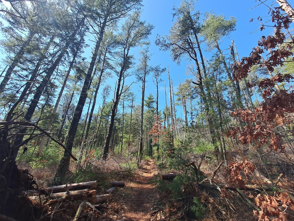 Wildlands Trust - Great Neck Conservation Area