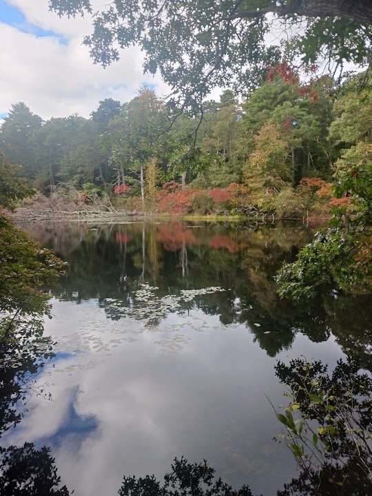 William & Barbara Hacker Wildlife Sanctuary & Town Island Pond Conservation Land Trail Head