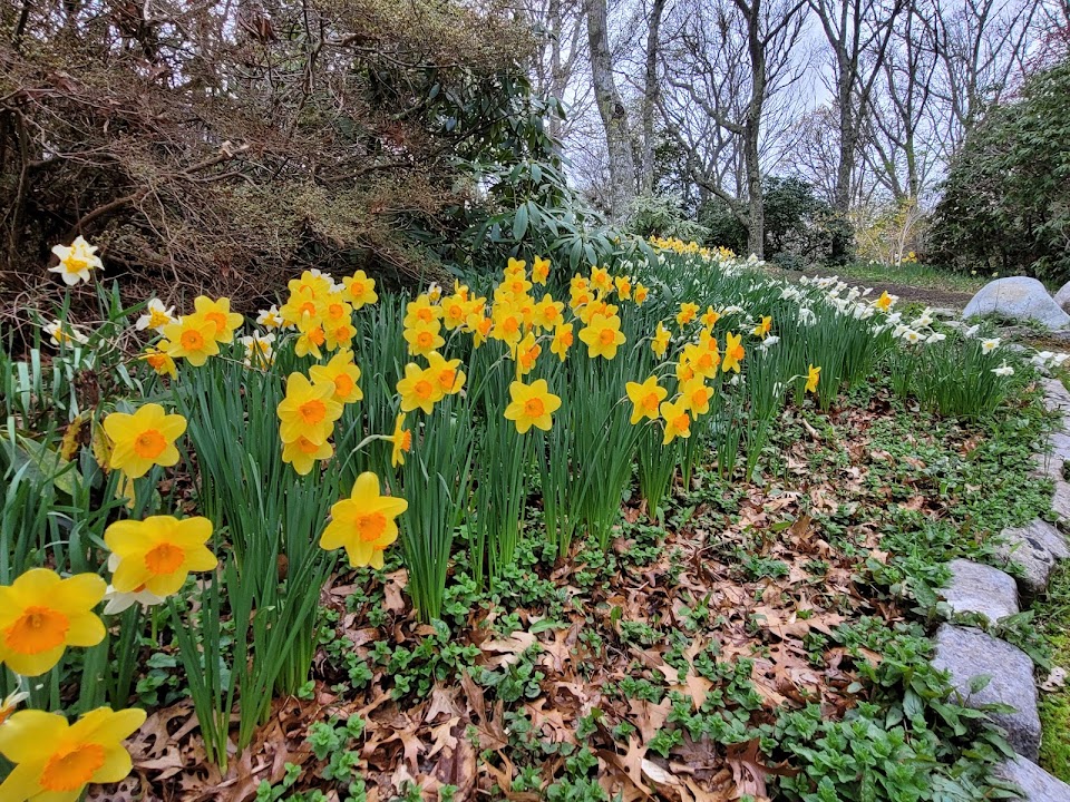 Spohr Gardens