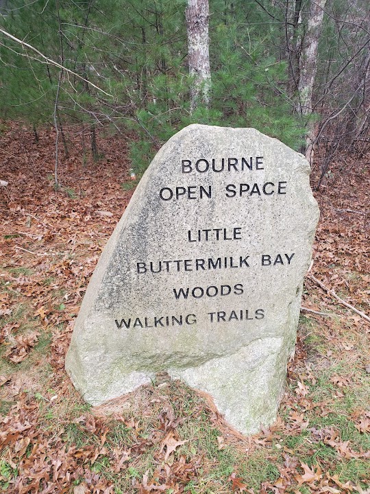 Little Buttermilk Bay Woods