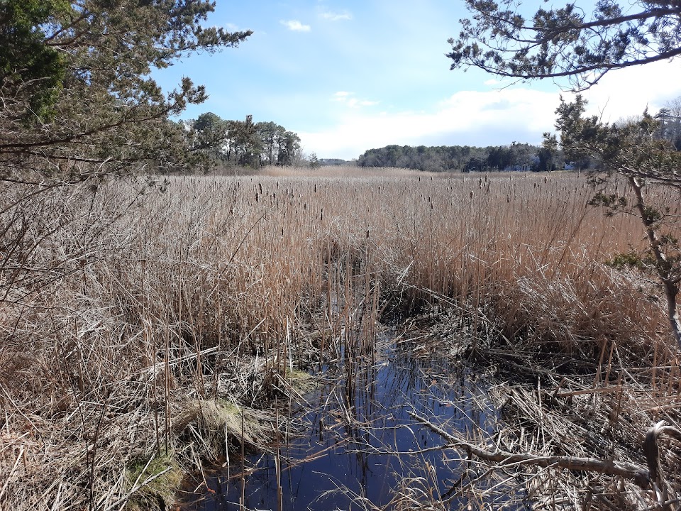 Old Fort Field