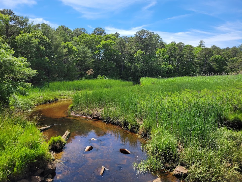 Lyman Reserve